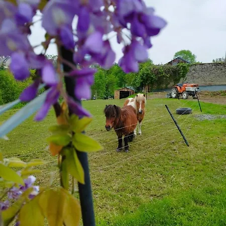 Climatise Avec Terrasse Privative Et Kitchenette Bed & Breakfast Avranches