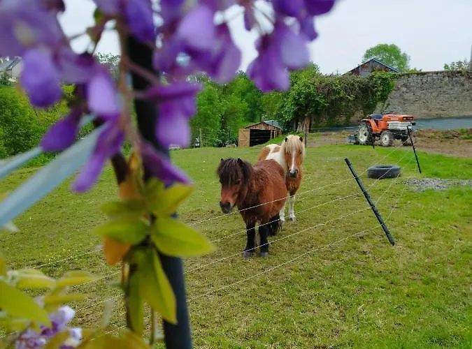 Climatise Avec Terrasse Privative Et Kitchenette Bed & Breakfast Avranches